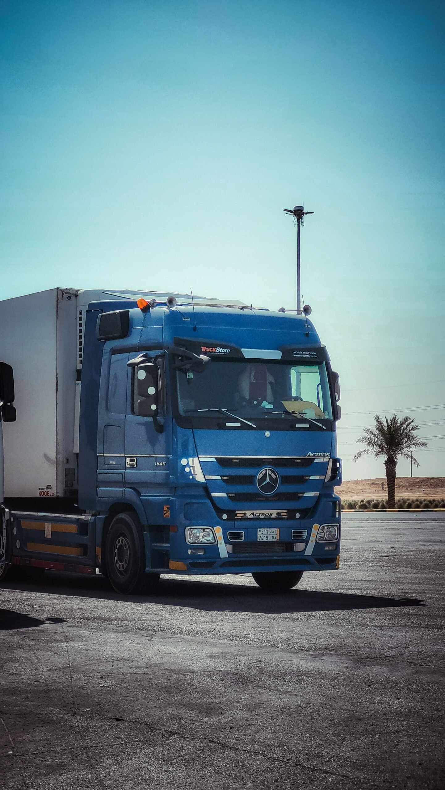 A blue freight truck parked on a sunny desert highway with a palm tree backdrop.